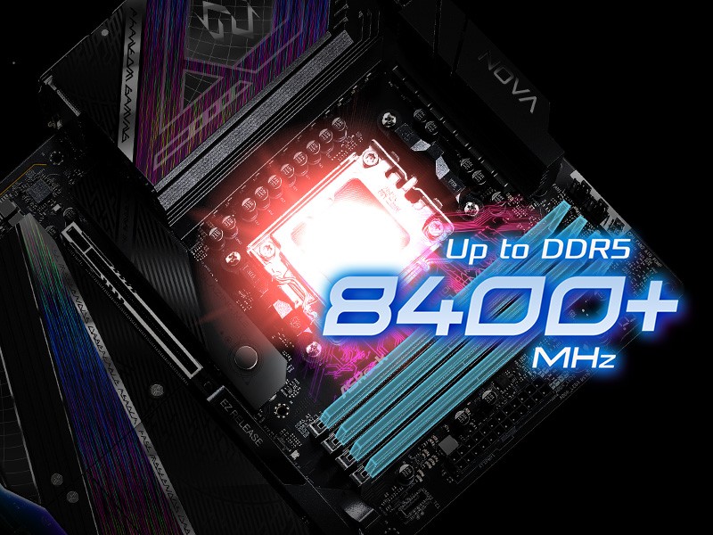 DDR5 XMP & EXPO Support